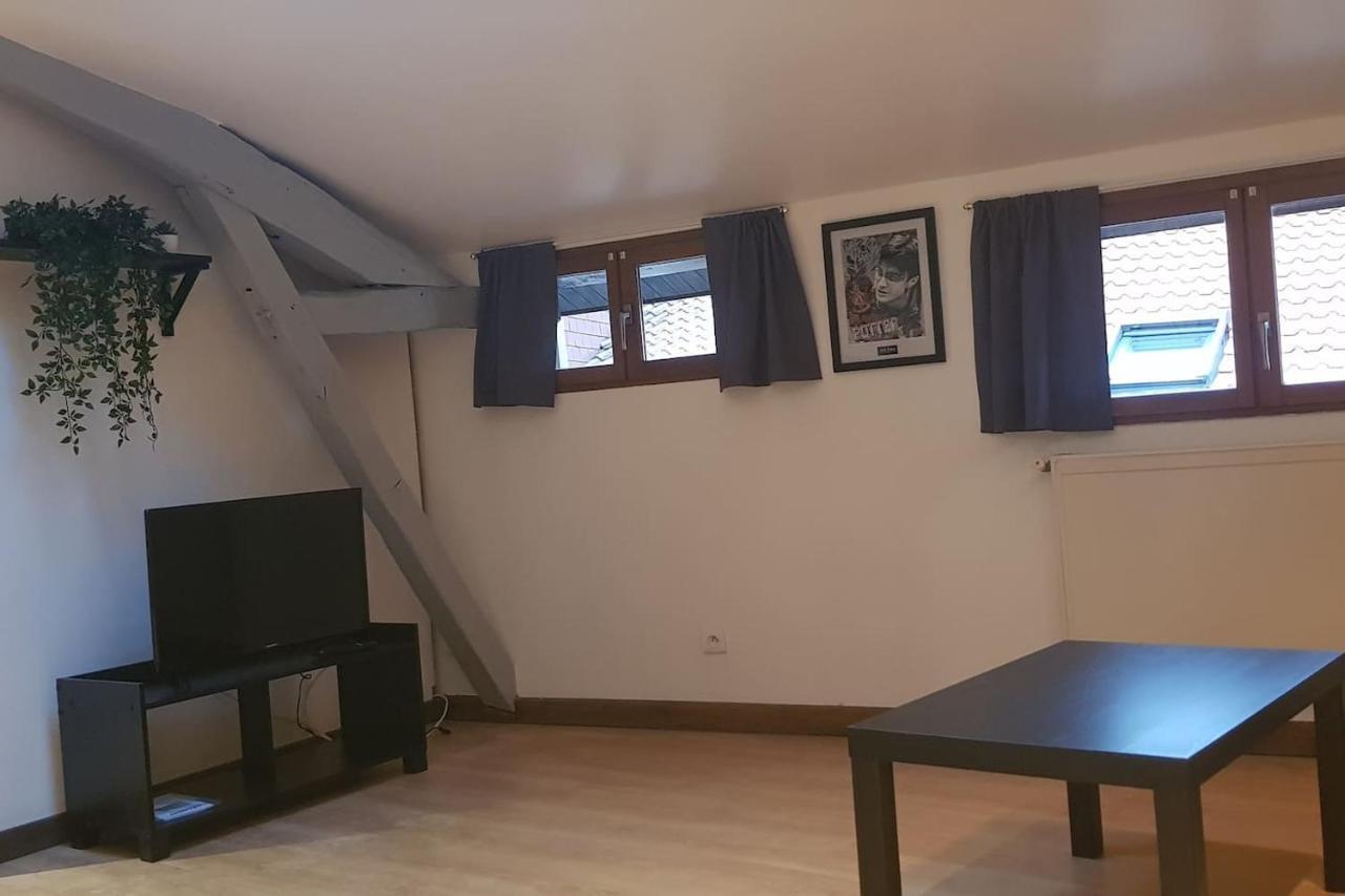 Cine Loft 55 M2 Centre Ville شالو أو شُمْبانيِ المظهر الخارجي الصورة
